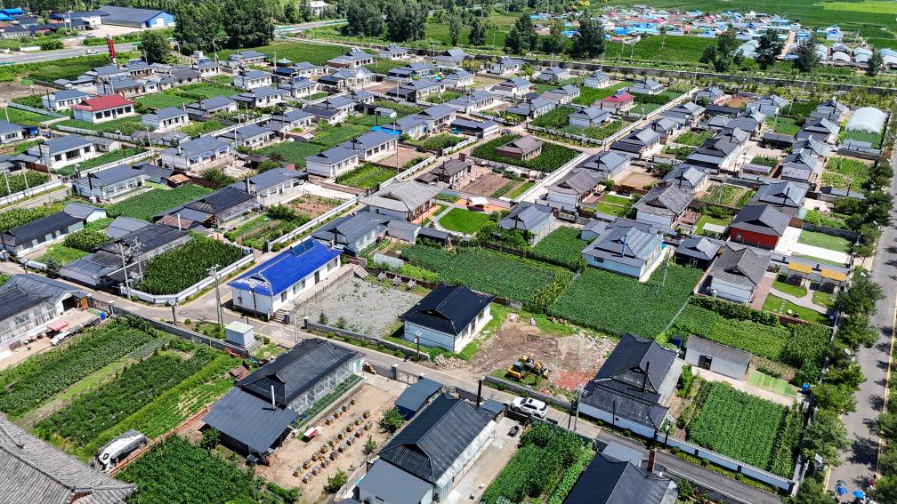 活力中国调研行丨从这里一窥东北乡村的未来——走进光东村