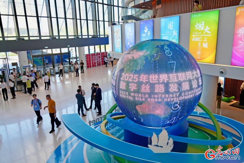 一组图带你回顾世界互联网大会数字丝路发展论坛精彩剪影