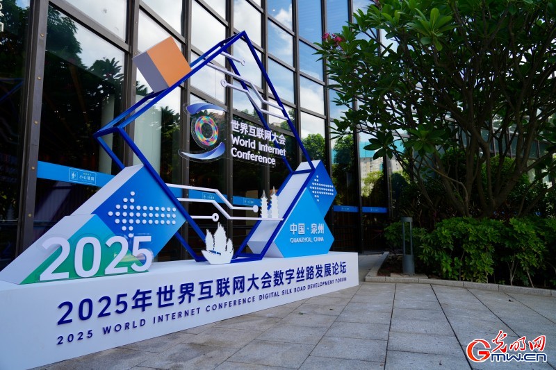 一组图带你回顾世界互联网大会数字丝路发展论坛精彩剪影