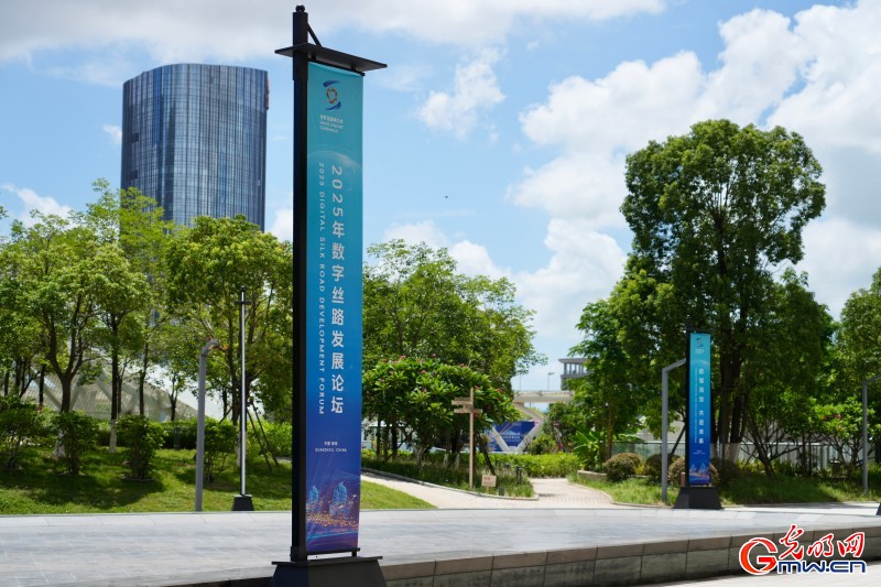 一组图带你回顾世界互联网大会数字丝路发展论坛精彩剪影
