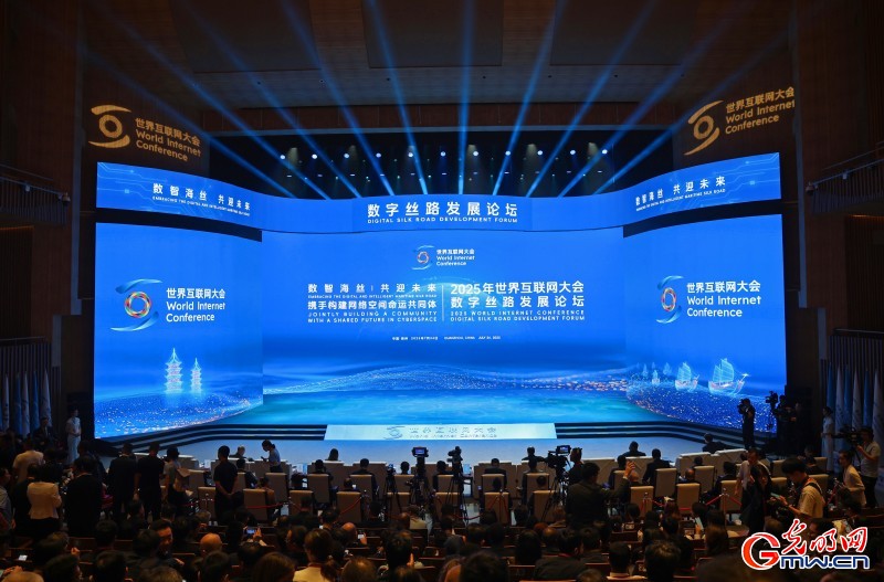 一组图带你回顾世界互联网大会数字丝路发展论坛精彩剪影
