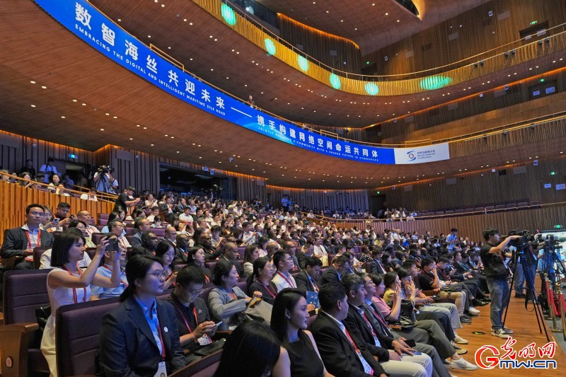 一组图带你回顾世界互联网大会数字丝路发展论坛精彩剪影