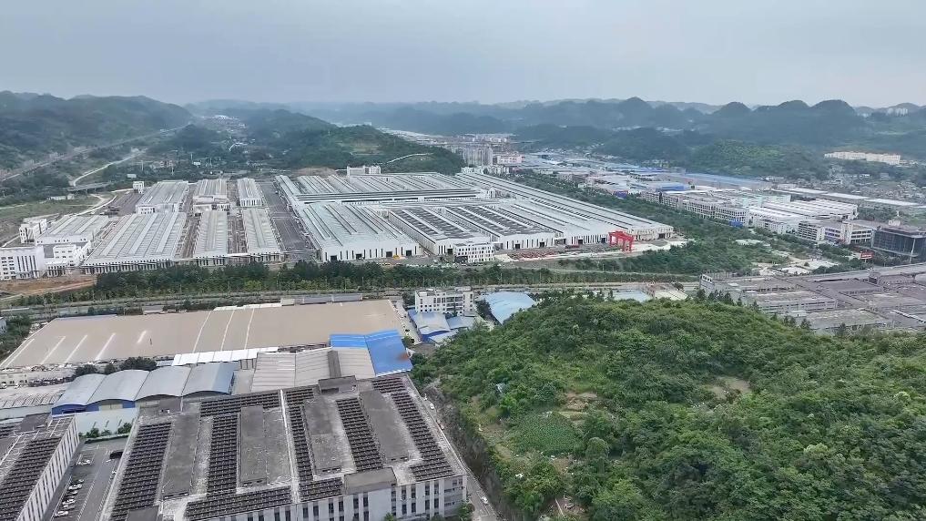 新华视点丨不同维度观就业
