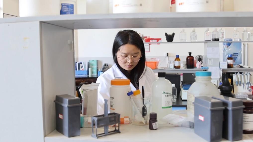 新华视点丨不同维度观就业