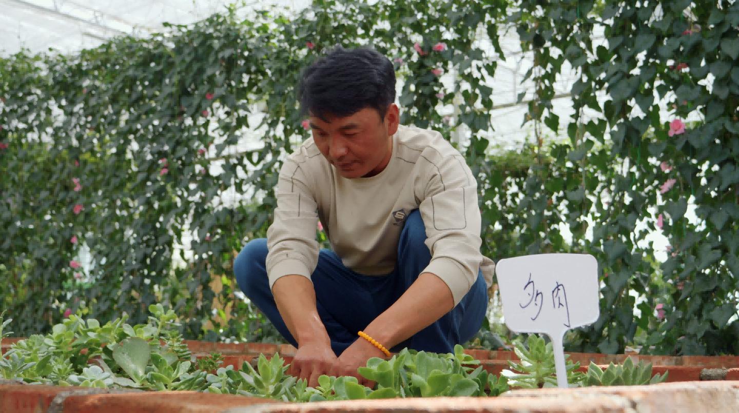 辉煌60年·我们的家园｜高原上的