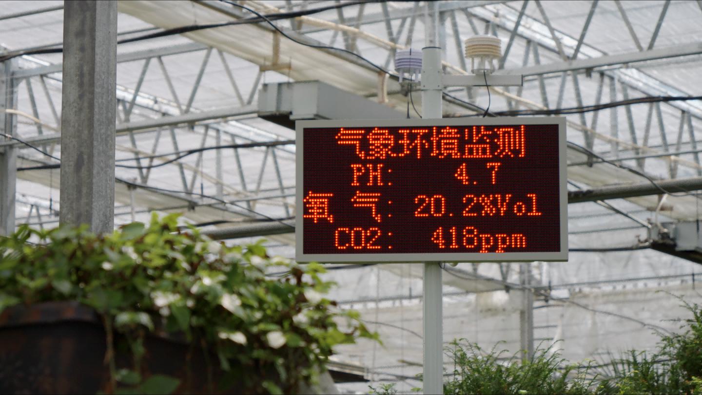 辉煌60年·我们的家园｜高原上的