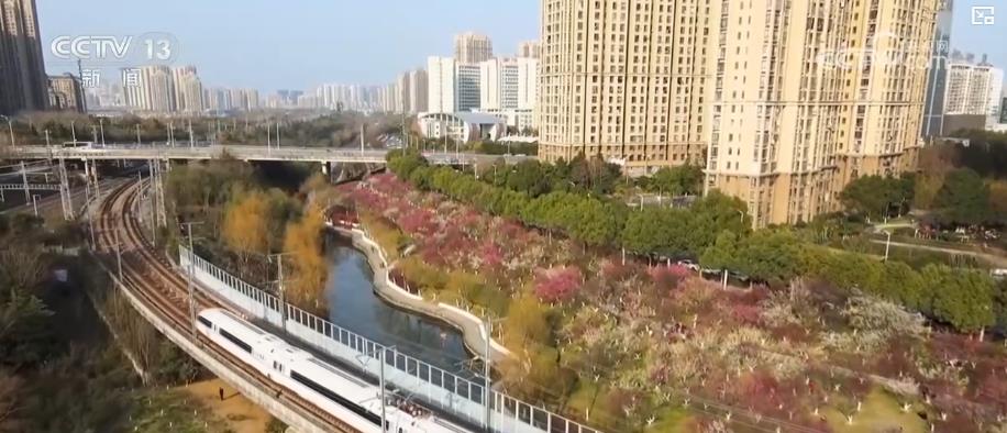 “高铁+旅游”深度融合：特色专列助力暑期乡村游市场升温