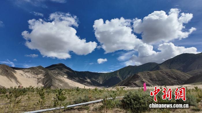 辉煌60年·我们的家园 | “像养孩子一般种树”：各民族团结奋斗，以心血浇灌生态奇迹