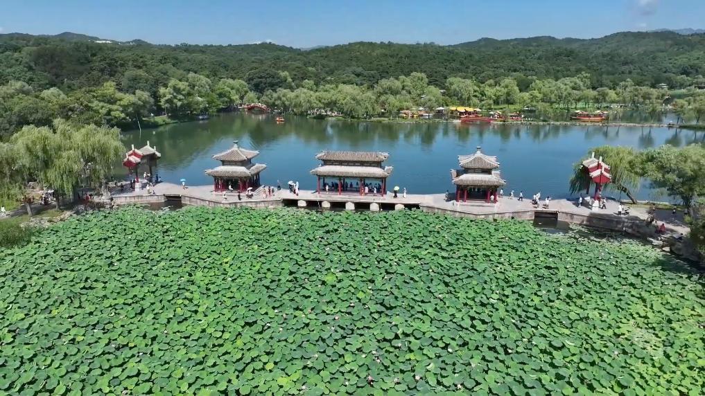 新华视点｜多元文旅绘就暑期画卷 夏日经济点燃消费热潮