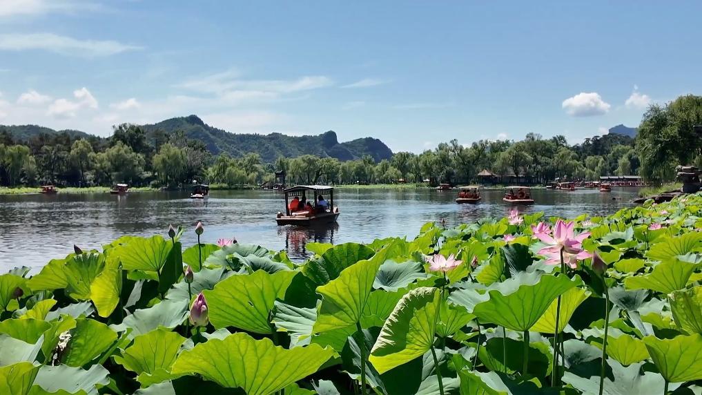 新华视点｜多元文旅绘就暑期画卷 夏日经济点燃消费热潮