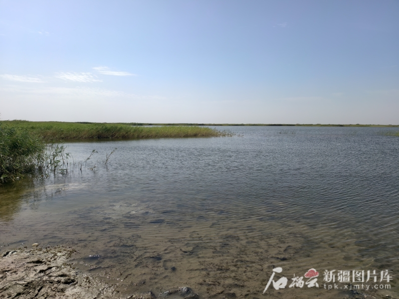 从“死亡之海”到“沙漠明珠” 台特玛湖重生记