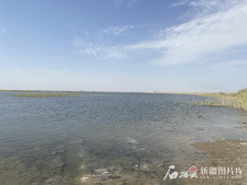 从“死亡之海”到“沙漠明珠” 台特玛湖重生记