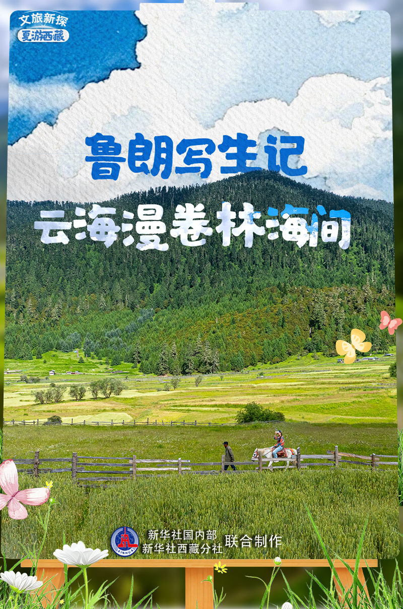 文旅新探·夏游西藏｜鲁朗写生记：云海漫卷林海间