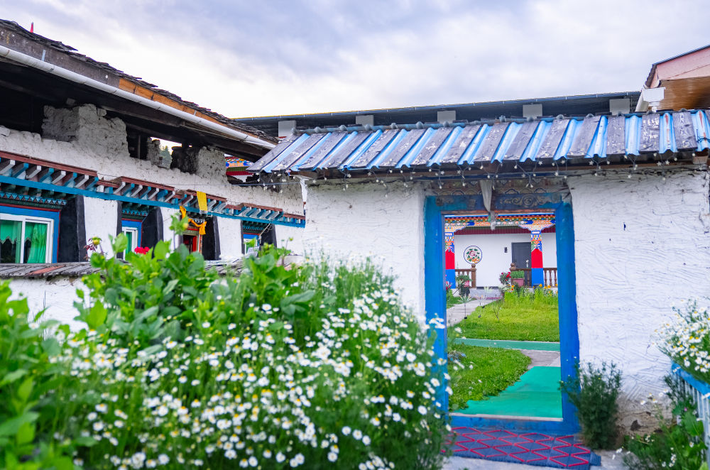 文旅新探·夏游西藏｜鲁朗写生记：云海漫卷林海间