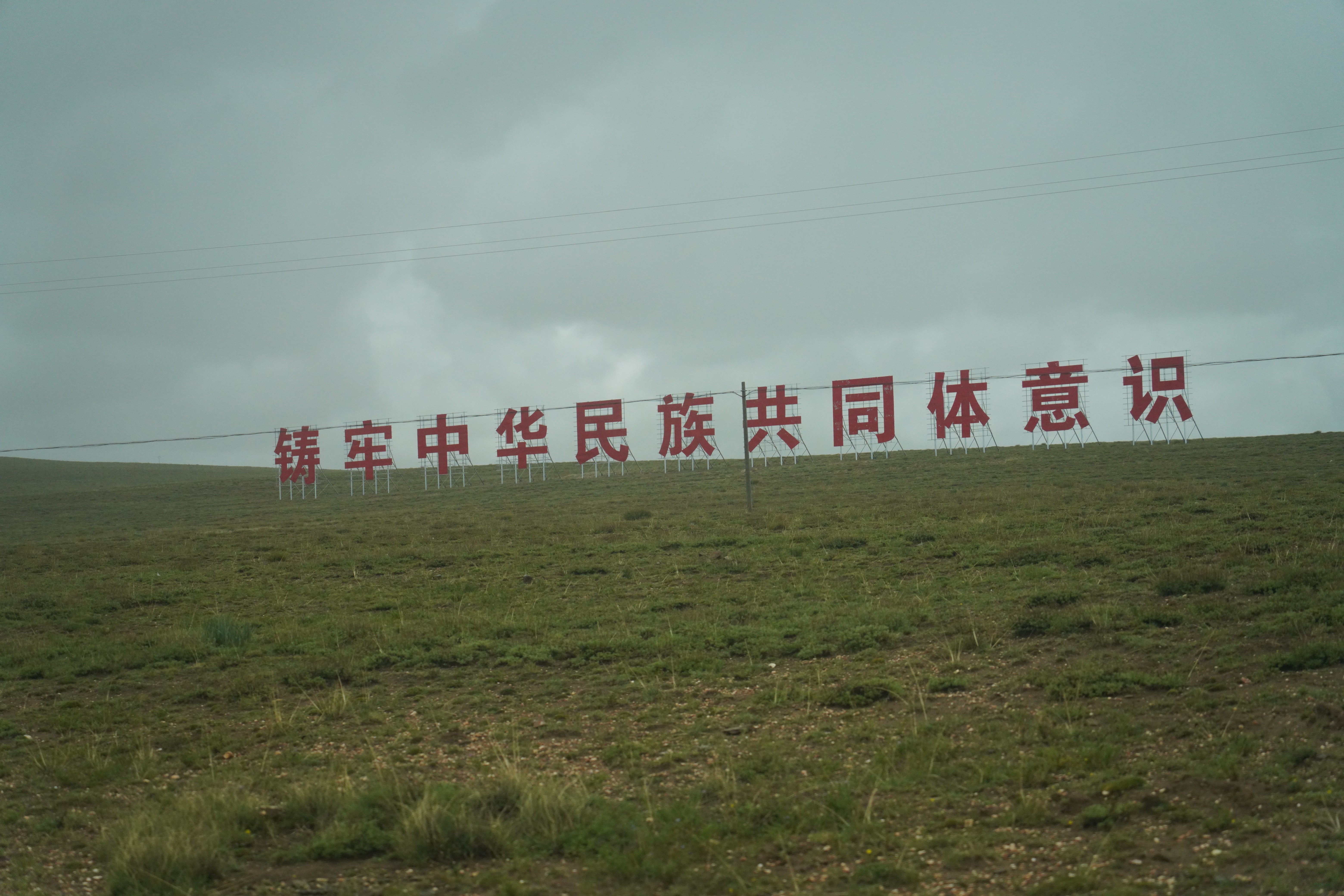 【辉煌60载 魅力新西藏】镜观西藏：风起曲松藏药香