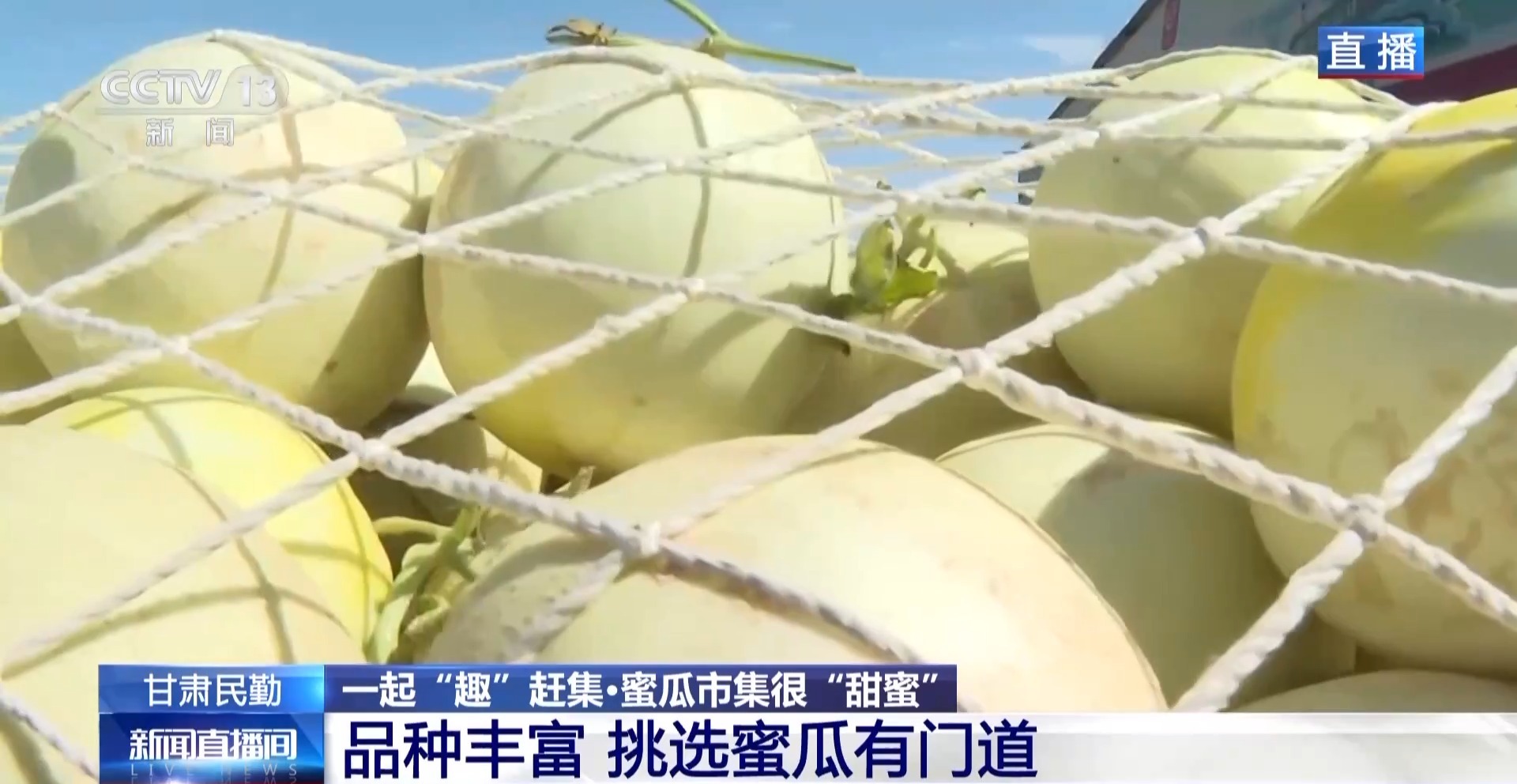一颗瓜带火一条产业链 甘肃民勤的蜜瓜还有这些新吃法