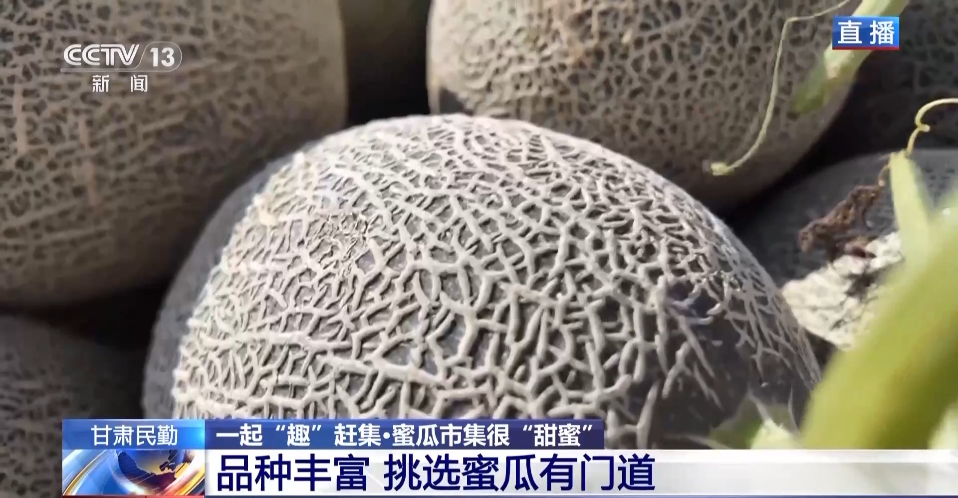 一颗瓜带火一条产业链 甘肃民勤的蜜瓜还有这些新吃法