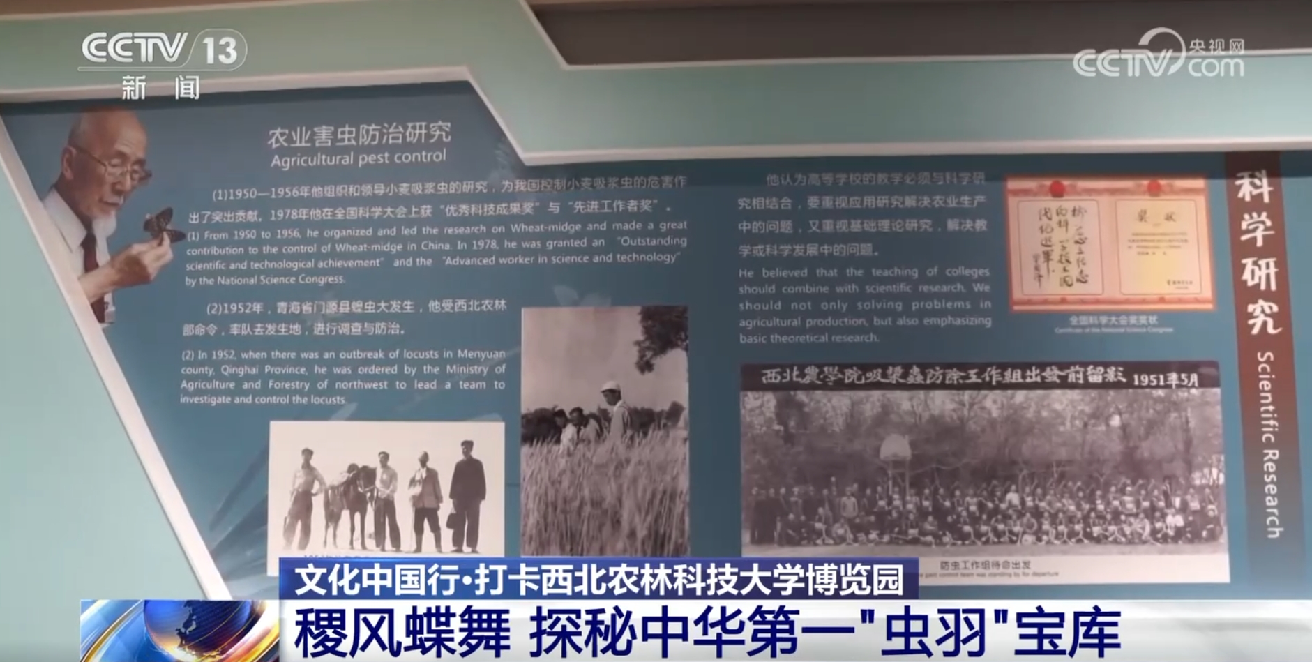 文化中国行丨探秘中华第一“虫羽”宝库 来这上一堂最生动自然课