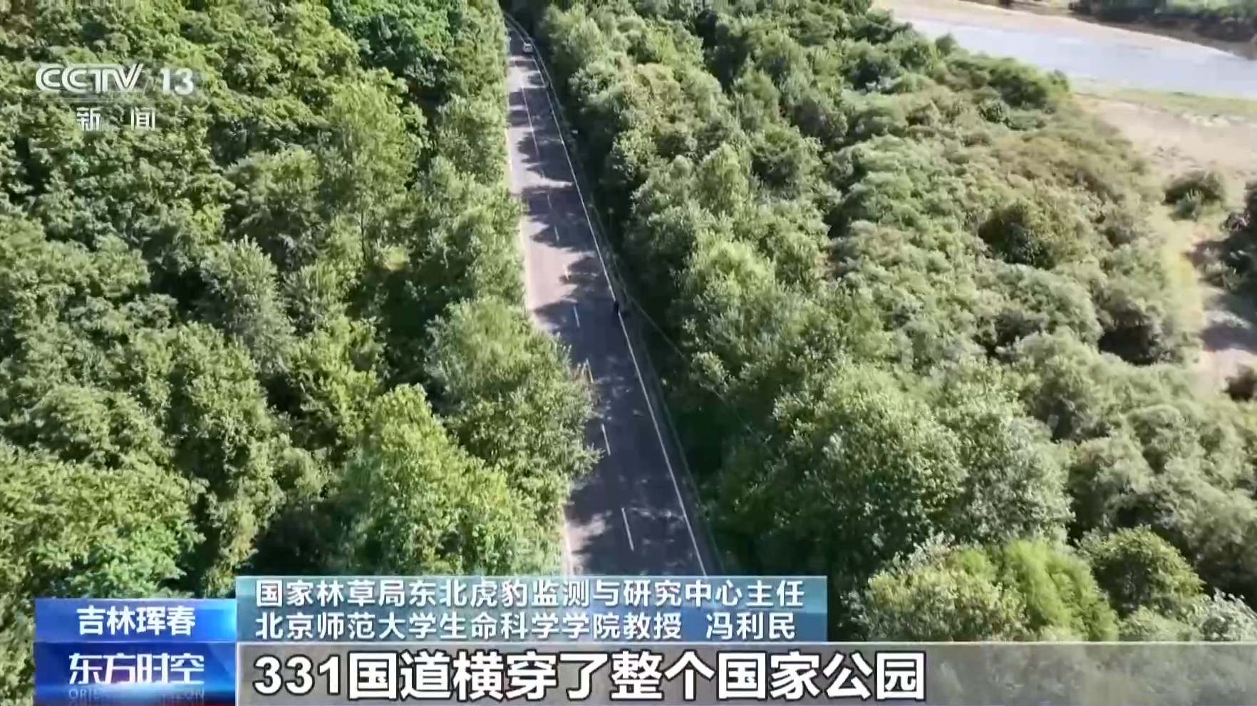 国道上多人“偶遇”同一东北虎 国家公园如何守住人虎安全边界？