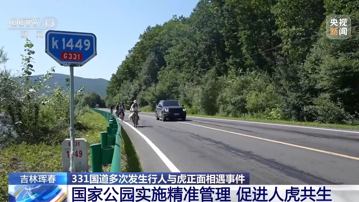 国道上多人“偶遇”同一东北虎 国家公园如何守住人虎安全边界？