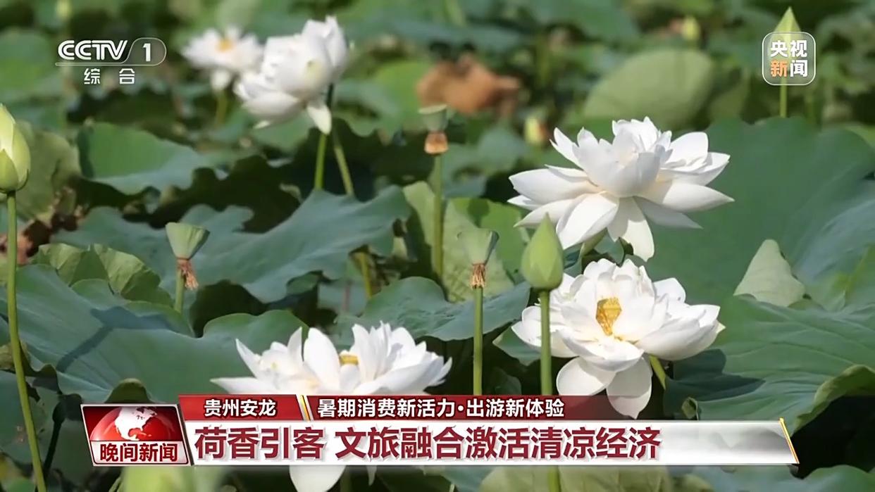 够清凉够丰富！更好玩、更好逛的“暑期游”来了