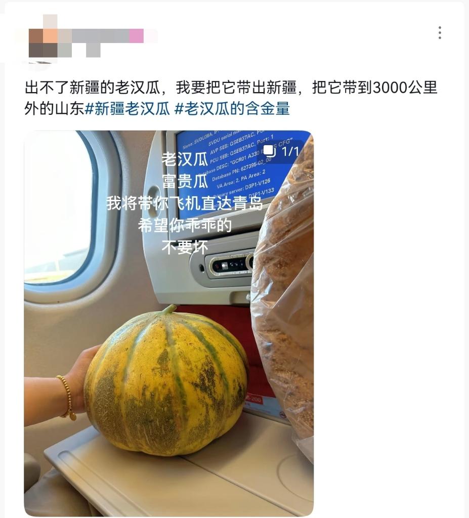 一颗老汉瓜里的新疆故事：从 “带不出新疆” 到 “香飘千万家”