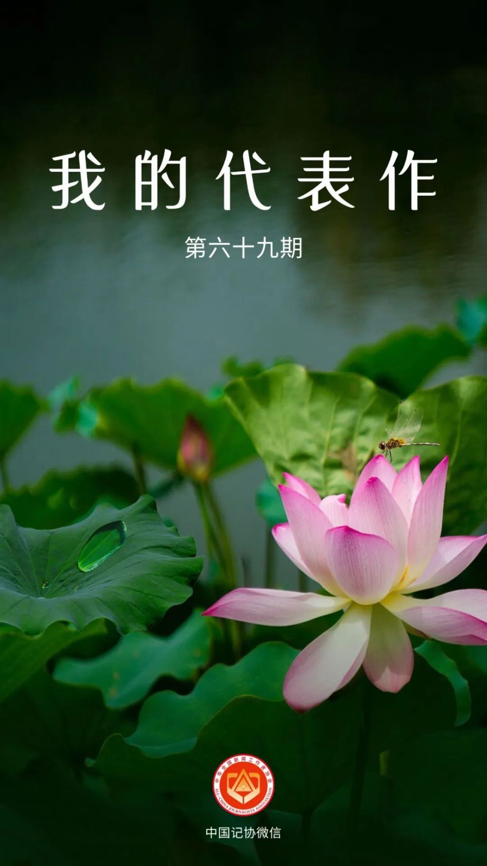 上榜了！恭喜代表作