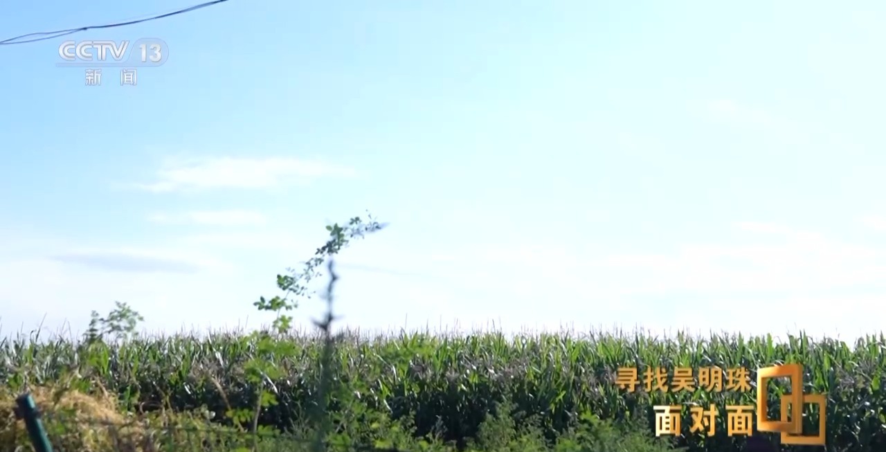 面对面丨中国人的吃瓜自由要感谢她！吴明珠说她的一生就是结几个好瓜献给人民
