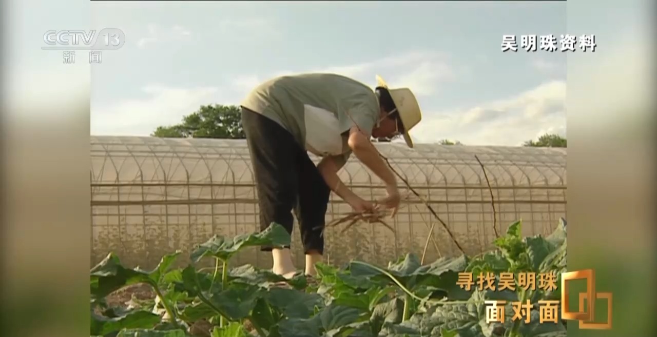 面对面丨中国人的吃瓜自由要感谢她！吴明珠说她的一生就是结几个好瓜献给人民