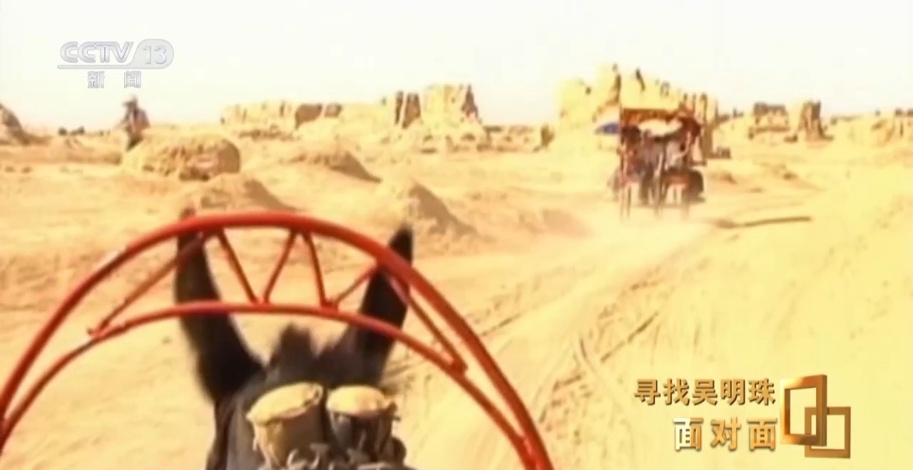 面对面丨中国人的吃瓜自由要感谢她！吴明珠说她的一生就是结几个好瓜献给人民