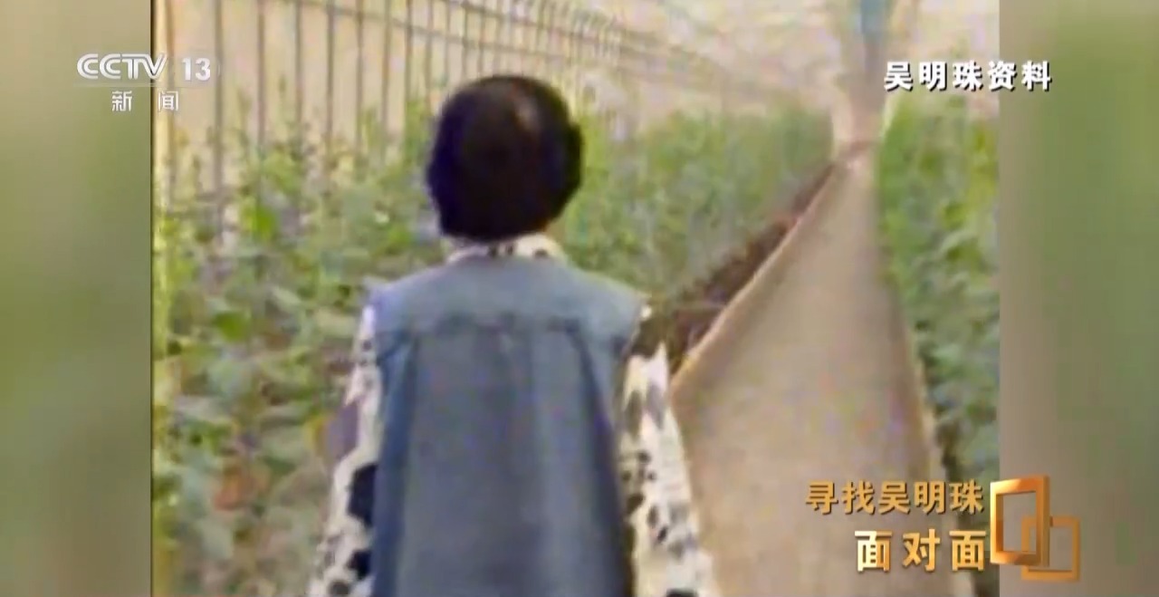 面对面丨中国人的吃瓜自由要感谢她！吴明珠说她的一生就是结几个好瓜献给人民