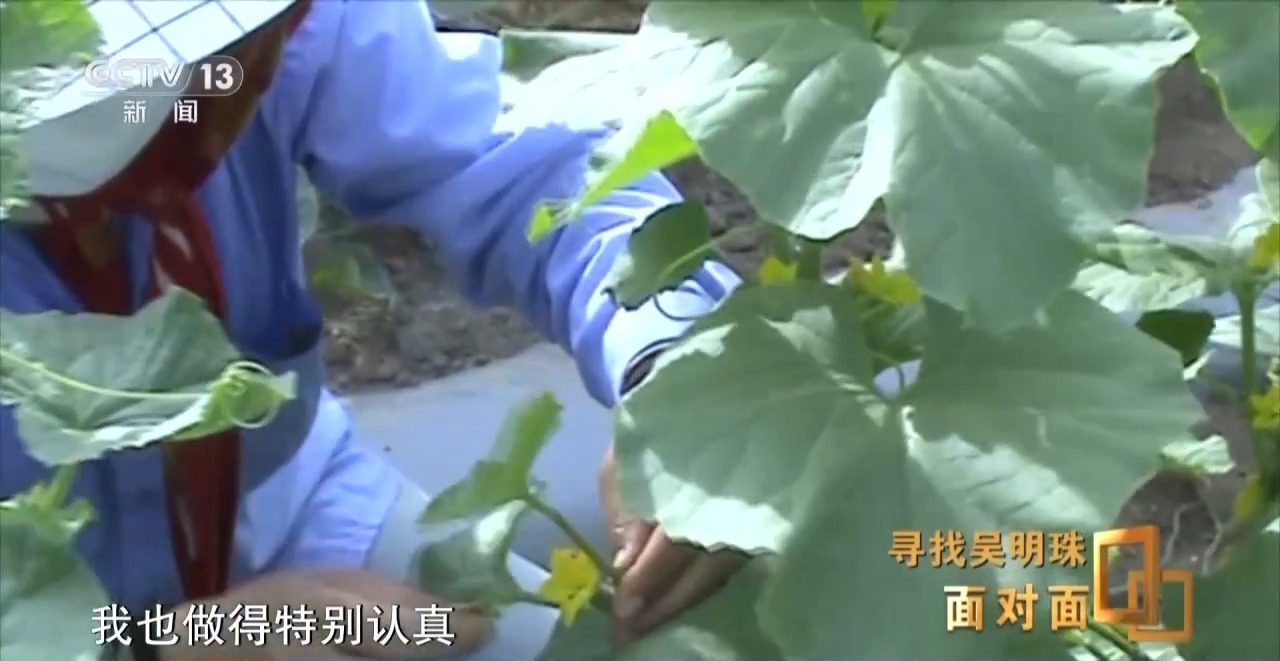 面对面丨中国人的吃瓜自由要感谢她！吴明珠说她的一生就是结几个好瓜献给人民