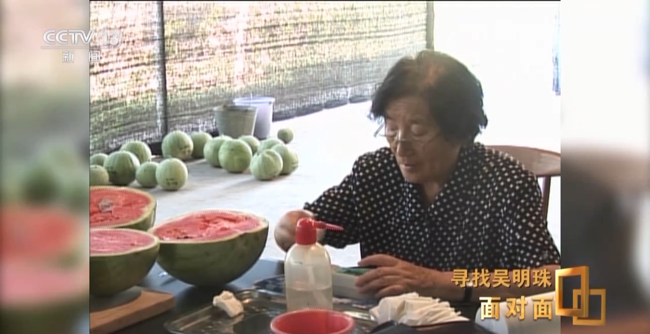 面对面丨中国人的吃瓜自由要感谢她！吴明珠说她的一生就是结几个好瓜献给人民