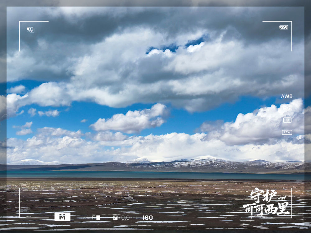 守护可可西里｜原来，你是这样的可可西里！