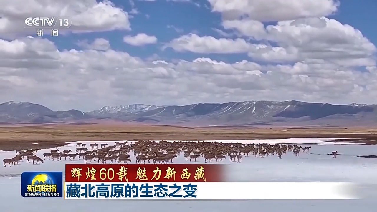 辉煌60载 魅力新西藏丨藏北高原的生态之变