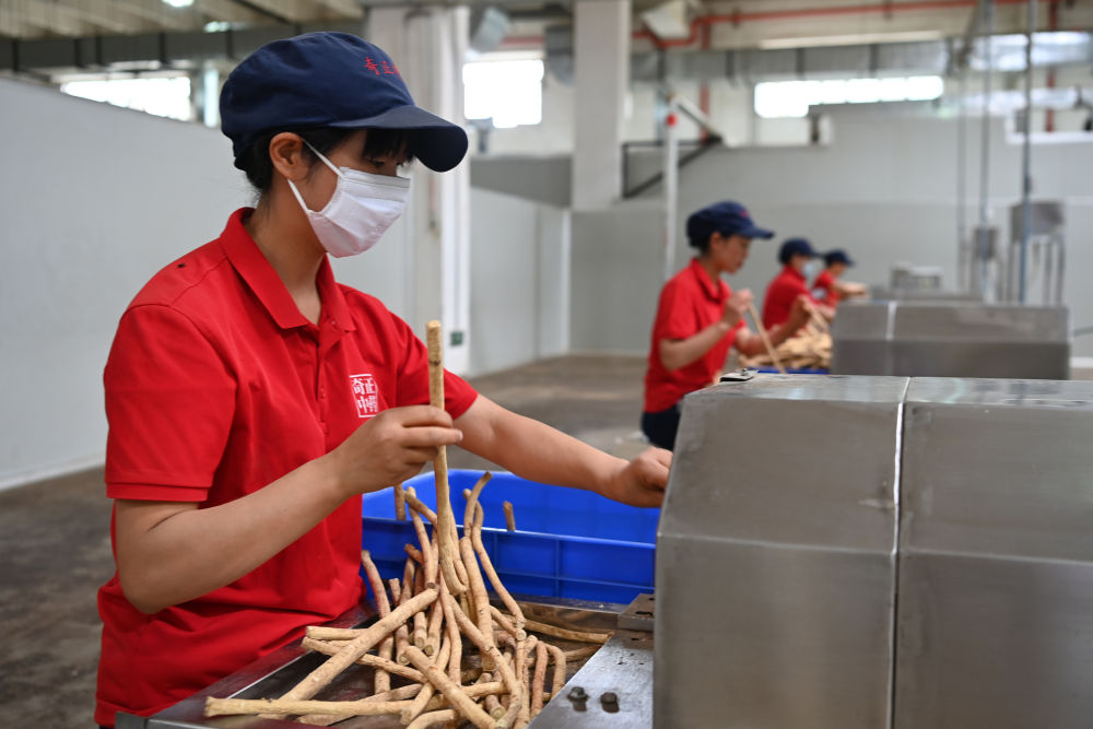 镜观·回响｜保障人民健康 筑牢幸福根基