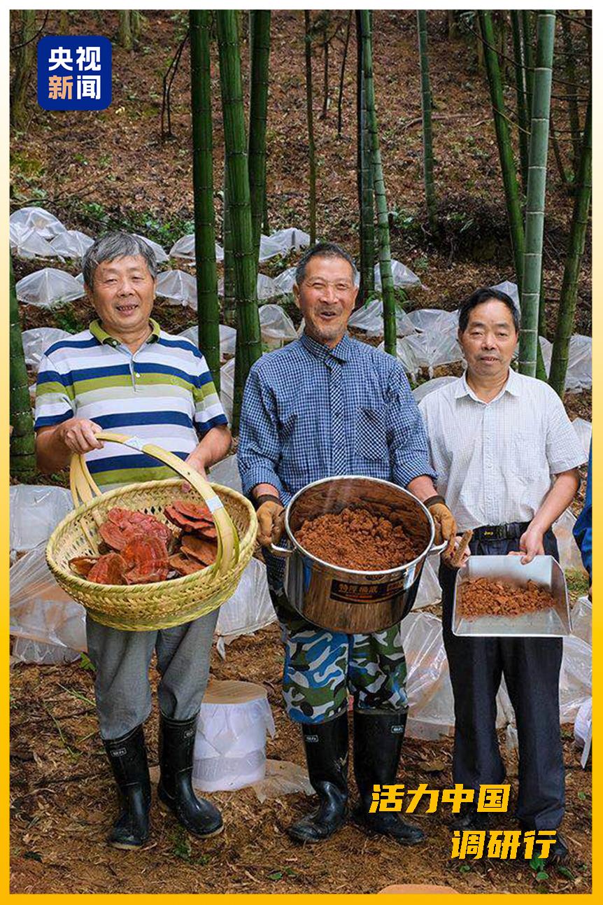 活力中国调研行丨从“浙”里，看中国