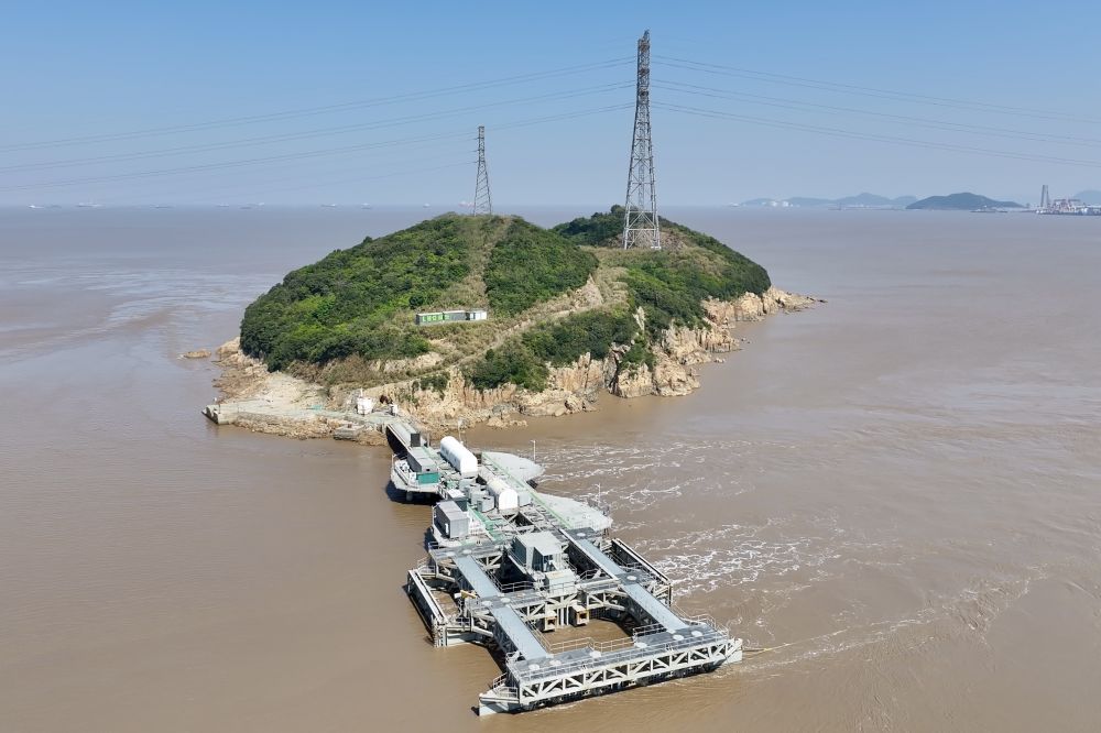 活力中国调研行｜陆海生金！浙东沿海绘就“青蓝交织”生态画卷