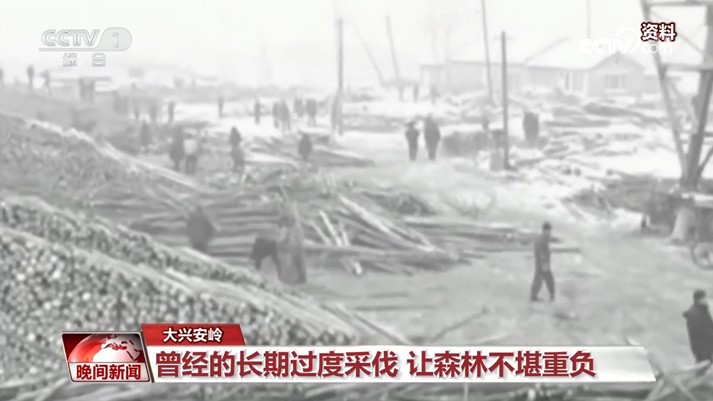 【看见美丽中国】筑牢北方生态安全屏障 听大兴安岭背后的“蝶变”故事