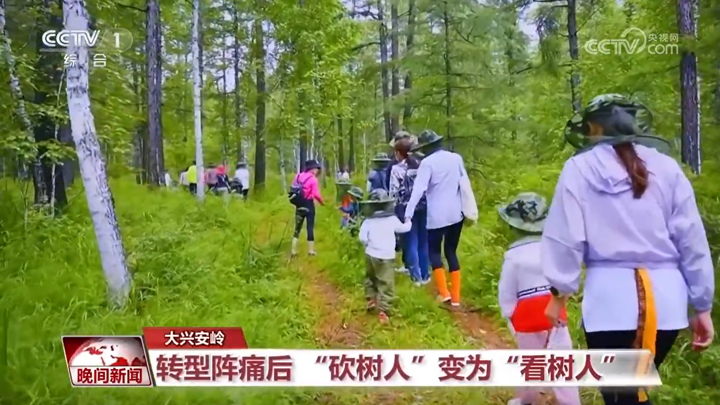 【看见美丽中国】筑牢北方生态安全屏障 听大兴安岭背后的“蝶变”故事