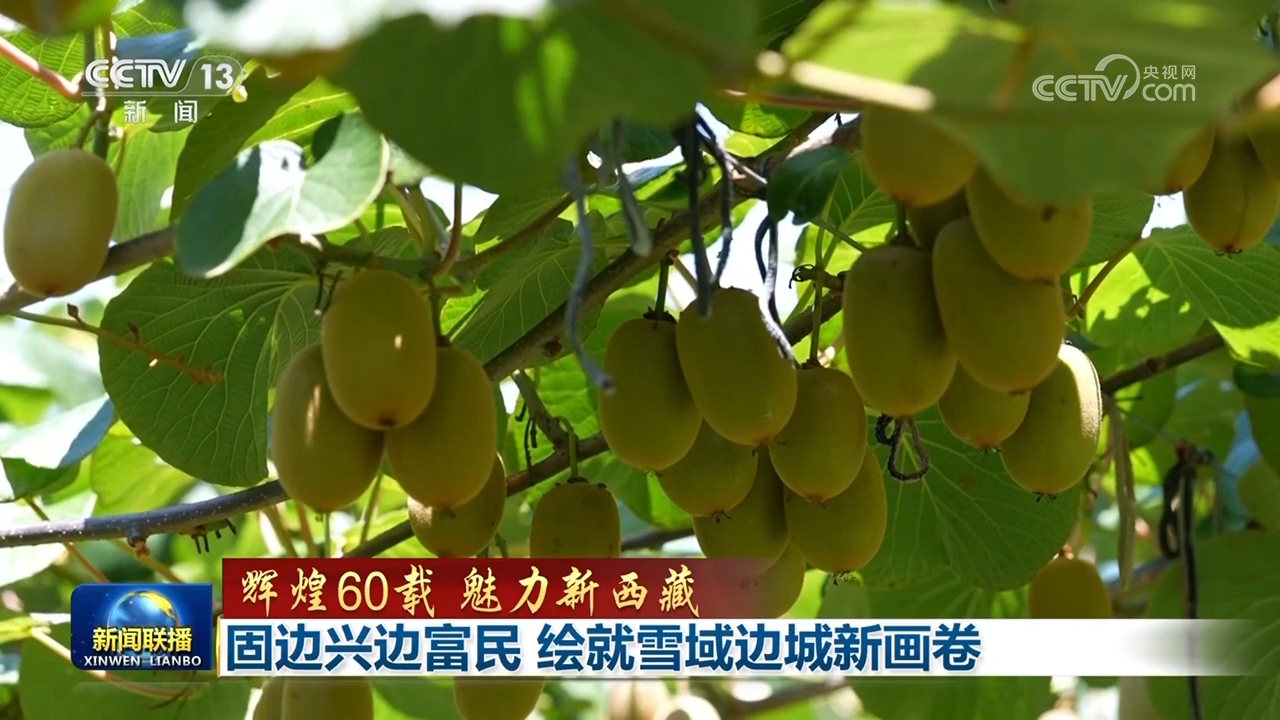 【辉煌60载 魅力新西藏】固边兴边富民 绘就雪域边城新画卷