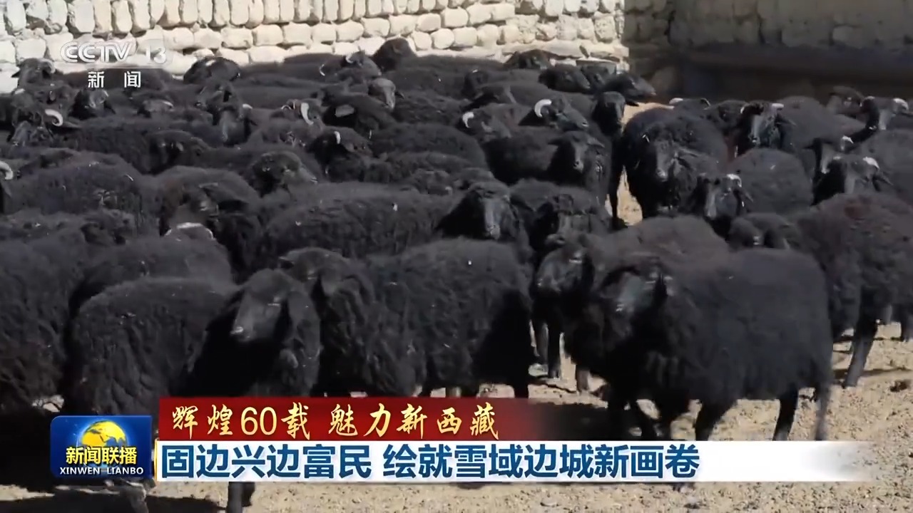 辉煌60载 魅力新西藏丨边境村户户连网、村村通路 雪域边城绘就新画卷
