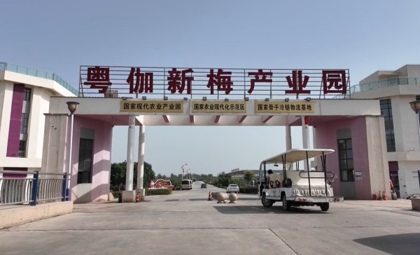 对口援疆 潮涌天山丨一颗新梅的“梅”好未来