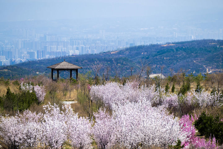晋祠泉复流记