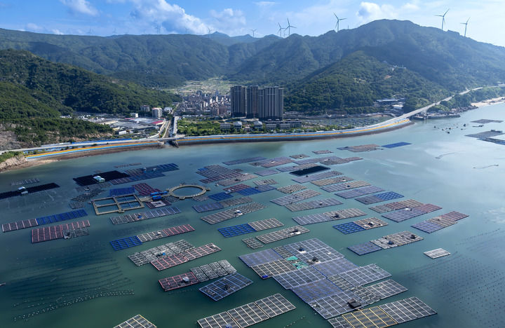 精耕深蓝，加快建设海洋强国——“中国经济圆桌会”聚焦海洋经济高质量发展