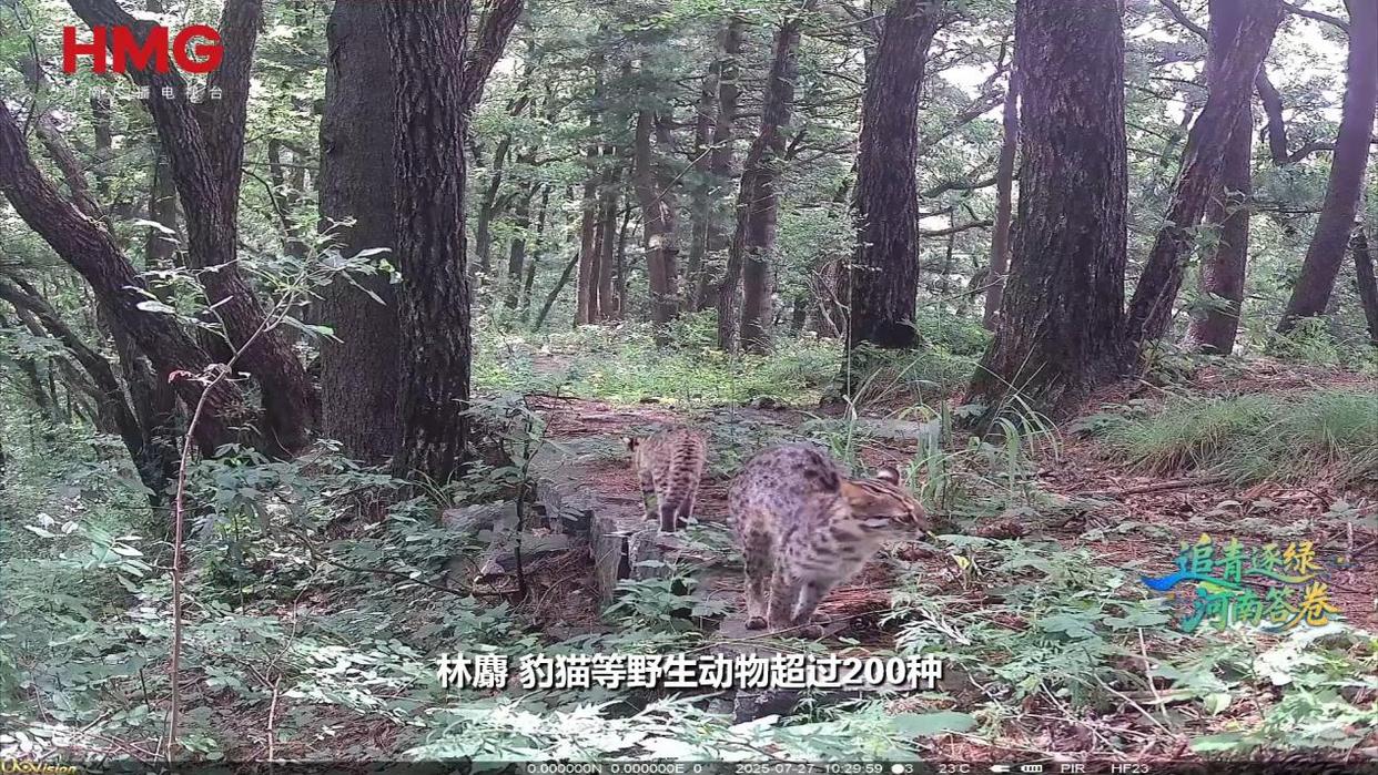 这里的“两山”丨从资源山到生态山 风景山