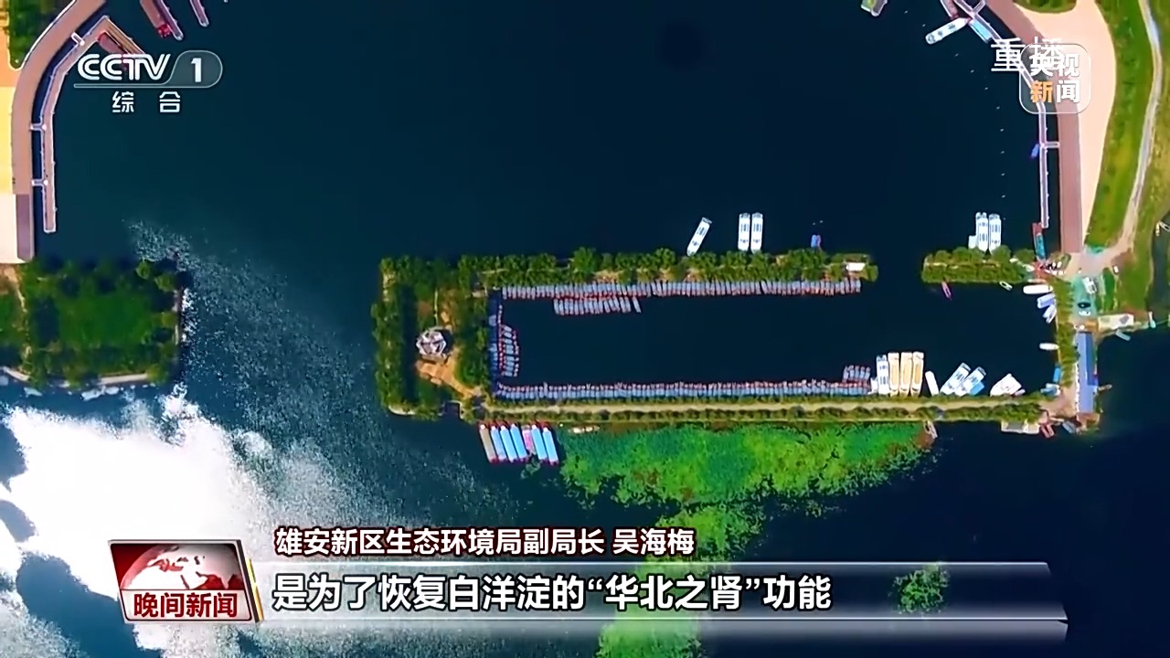 看见美丽中国丨共同守护一泓清水 在藕花深处看生态蝶变