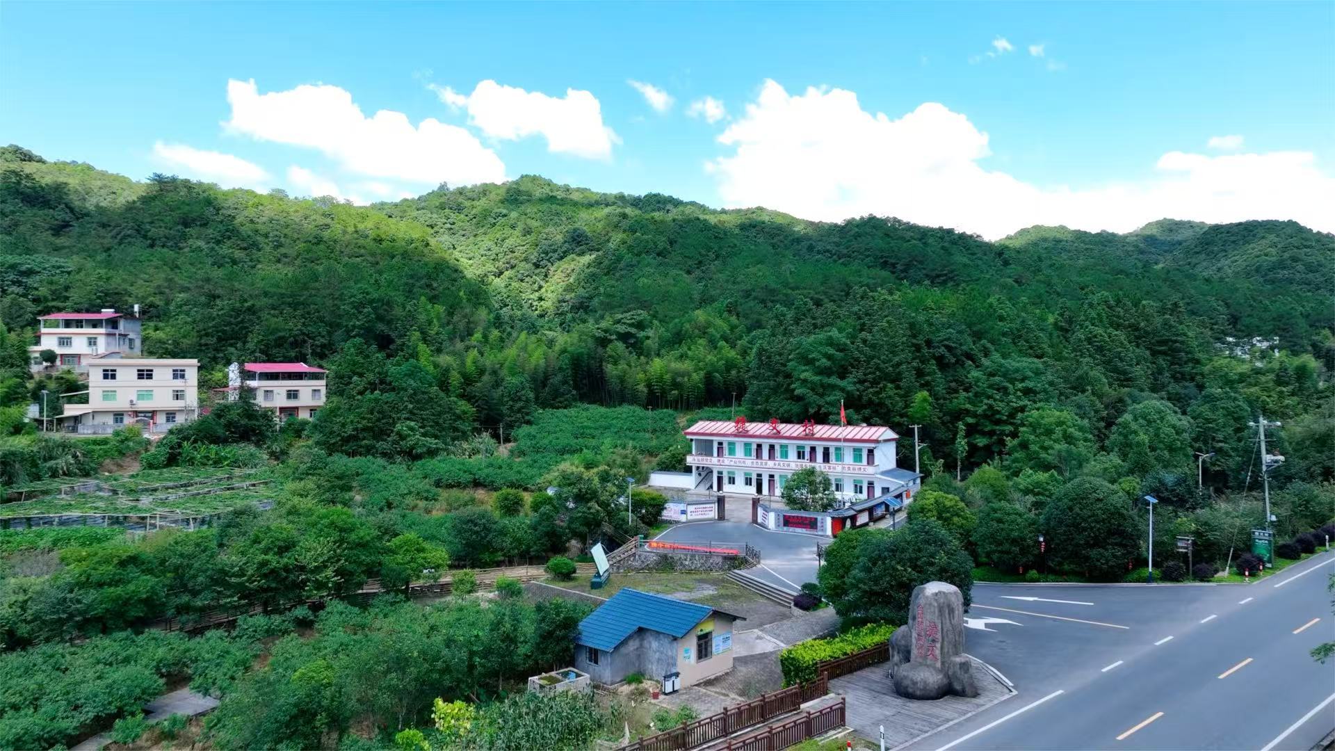近观“两山”丨青山蝶变幸福靠山