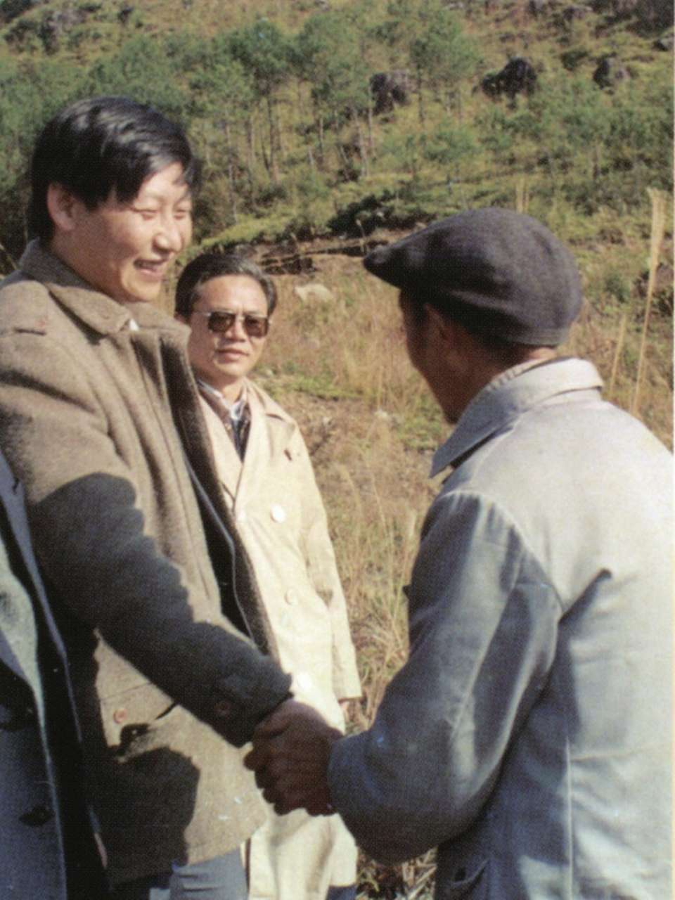 学习·故事丨青山变“金”山 习近平与三棵杉树的故事