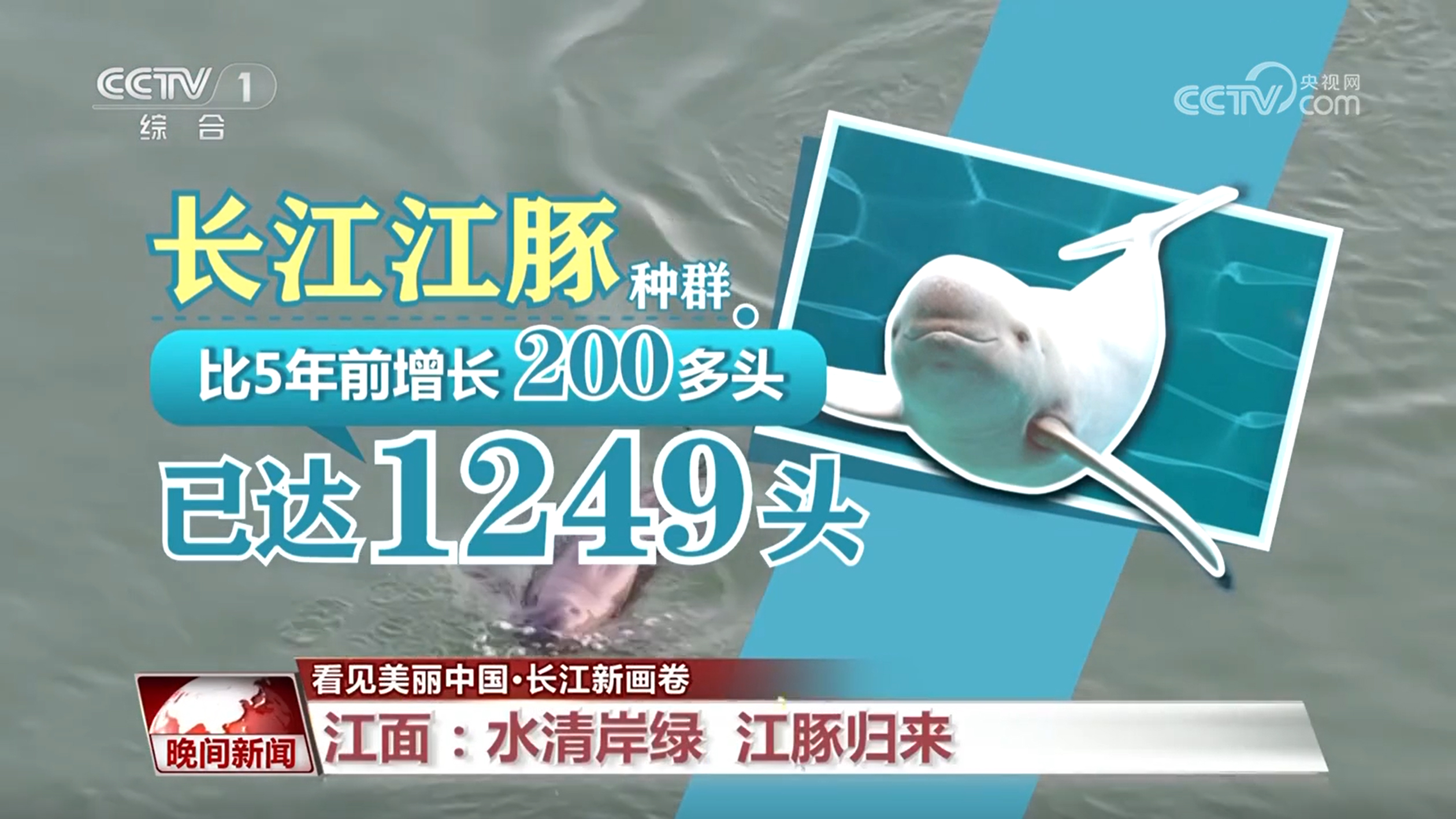 【看见美丽中国】“共抓大保护，不搞大开发” 长江新画卷正徐徐展开